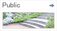 Public